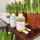 Great Summer Hair Starts With Year-Round Scalp Care