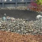 Chémel’s Rain Garden Supports Pierce Conservation District Efforts